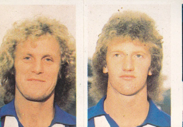 DAILY STAR - Football 1981 - David Grant / Brian Hornsby - Sheff Wed # 348 & 349