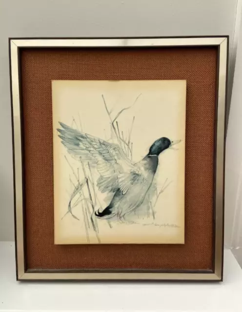 Vintage 1980s Framed print of a WILD duck on board 13"x15"