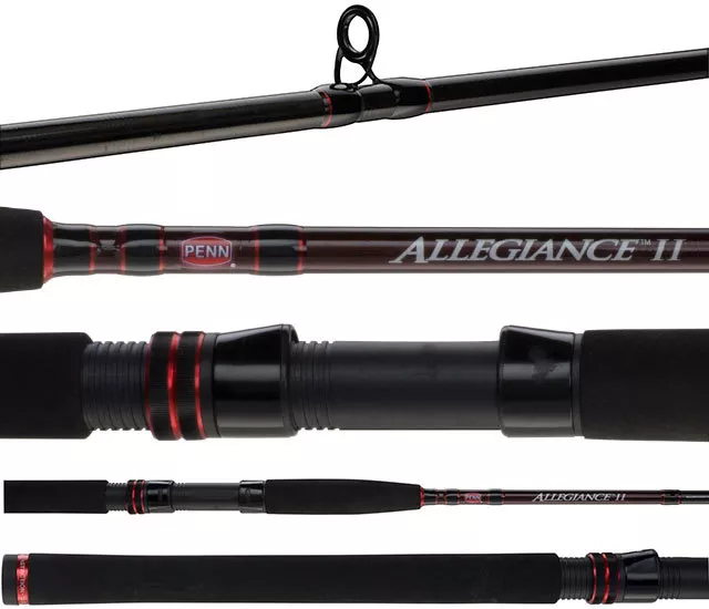 Penn Allegiance II Surf Beach Series 2 Piece Spin Fishing Rod 12' 12-20kg