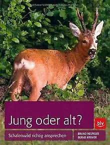 Jung oder alt?: Schalenwild richtig ansprechen von Hespe... | Buch | Zustand gut