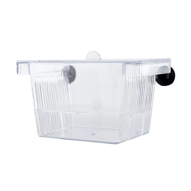 Aquarium Fish Tank Guppy Double Breeding Breeder Rearing X6K0 L6C0 Clear C A7T3