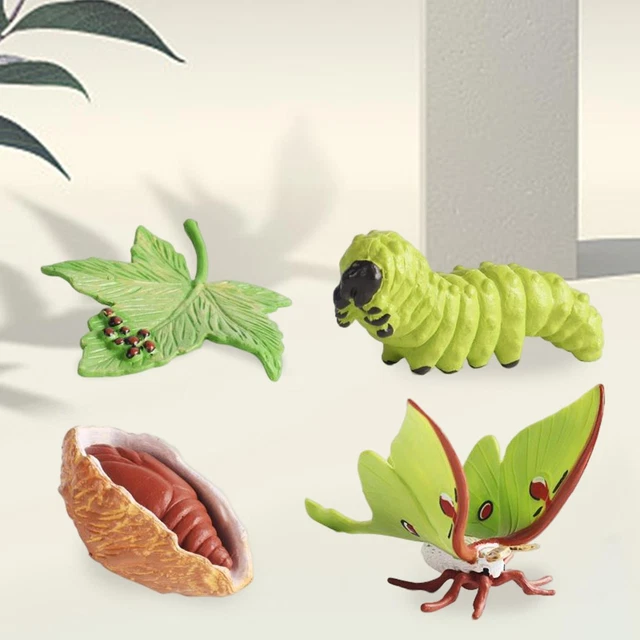 LIFE CYCLE FIGURINES Animal Growth Model Figure Early Learning