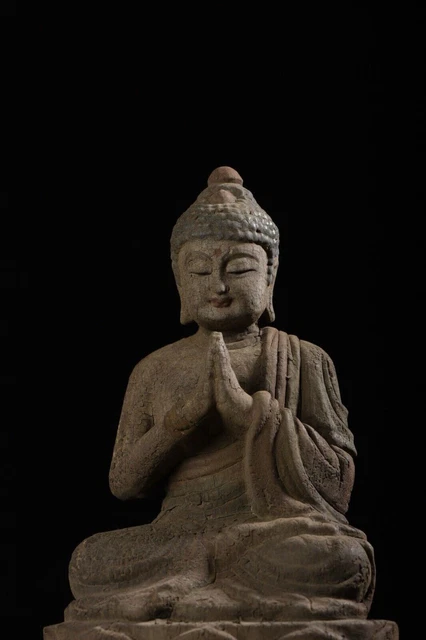 10" Chinese Buddhism Wood Carved Shakyamuni Amitabha Buddha Lotus Buddha Statue