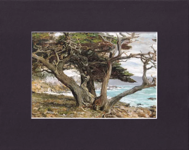 8X10 Matted Print Art Painting Picture: Detlef Sammann, Monterey Cypress 1915