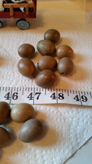 Set de 8 - Craft Button Quail Eggs - Huevos soplados - sin Gastos de Envío