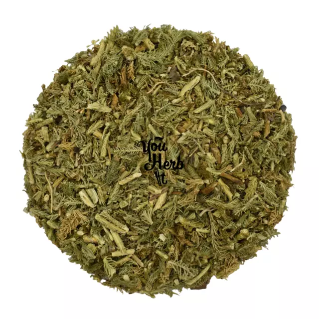 Stag's - Horn Club Moss Dried Leaves 25g-200g - Lycopodium Clavatum