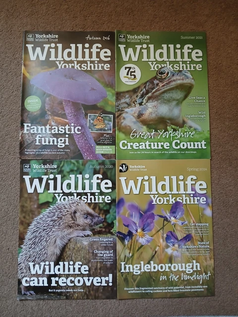 Yorkie Magazine 4 X YORKSHIRE wildlife magazine back issue job lot £6.99 - PicClick UK