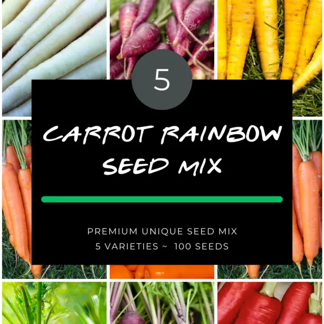 CARROT RAINBOW Mix 100+ seeds vegetable HEIRLOOM Red Purple White Yellow Orange