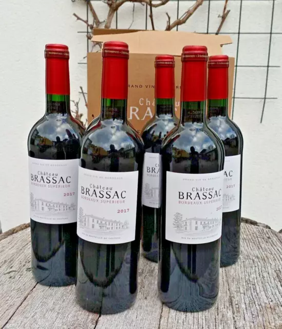 Kennermenge Großpack 15x Château Brasac Bordeaux Supérieur 2017 750ml 14% 139WDP