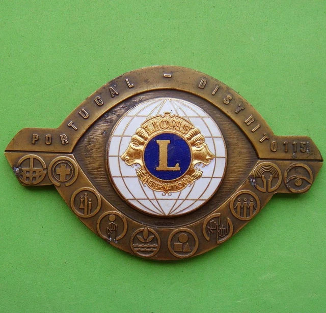 L@@k Lions Club International Beach Ocean Unusual Shape Bronze & Enamel Medal!