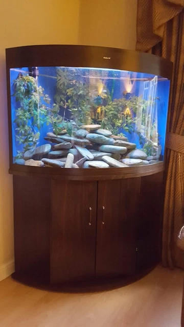 Corner Fish Tank