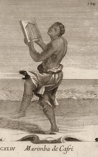 KALIMBA - Bonanni - Westerhout - Kupferstich 1716