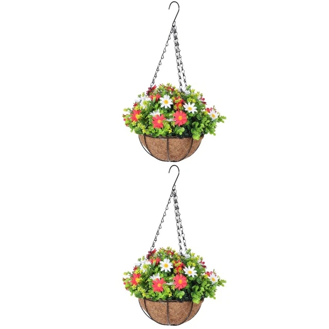 2 Pack Fleurs En Pots Suspendus Pots De Fleurs Suspendus À L'intérieur Décorer