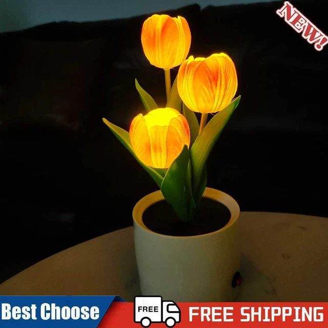 Luci notturne LED tulipani USB ricarica lampada da tavolo dimmerabile cassaforte per decorazione caffè