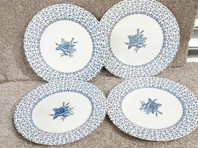 Vintage Blue And White Plates Royal Victoria Rose Bouquet Ironstone