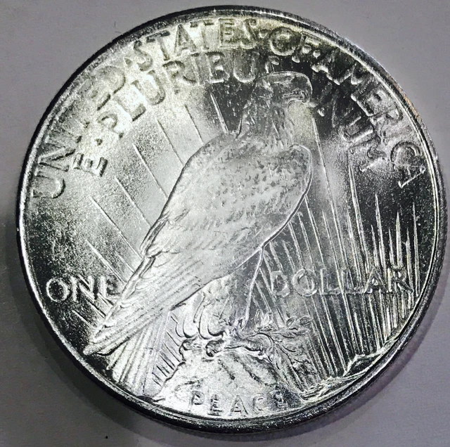 1925 P Peace Dollar! Absolute Screamer! Ms++++++ Extreme Rarity$$$$ Nr #R165