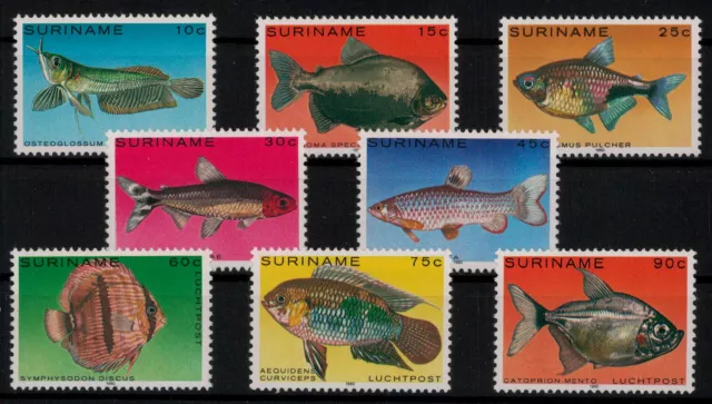 Surinam; Tropenfische 1980 kpl. **