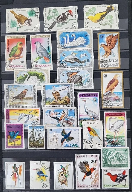 50 Timbres Oiseaux Différents – Prophila – Collection Philatélique, Variété De Motifs