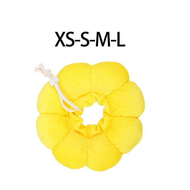 Collier de récupération de chien mignon après la chirurgie collier de cône