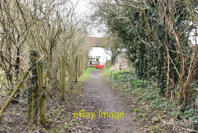 Photo 6x4 Footpath approaching Yalding Congelow  c2021