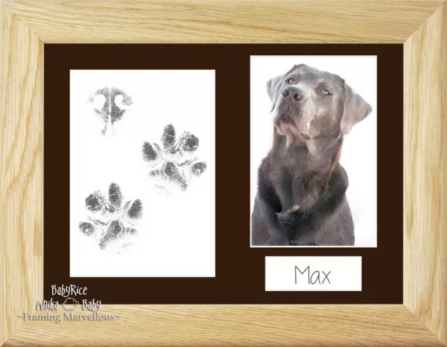 New Cat Dog Paw Print Kit Oak Wooden Photo Picture Frame Set Keepsake Pet Gift