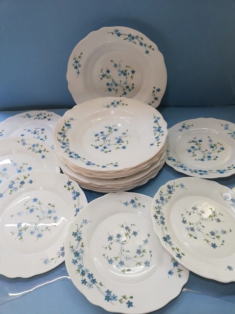 Grand Plat Ovale Arcopal – Vintage 34 Cm – Motif Veronica Myosotis, Bleu, France