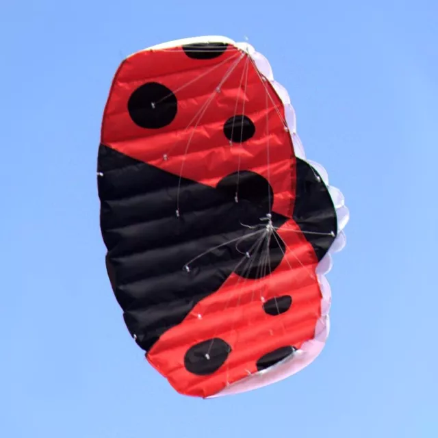 140*74cm double line large ladybug kite large outdoor toy Children's gifts