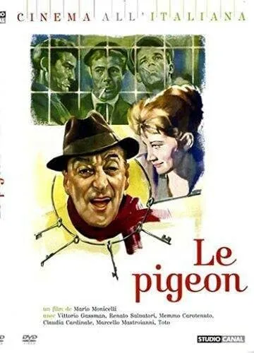 Le pigeon - Vittorio Gassman - DVD - NEUF - VERSION FRANÇAISE