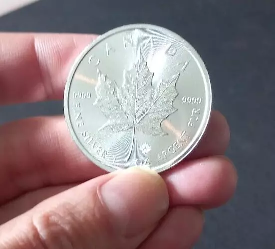 Silver Maple Leaf 1 oz Argent 99,99%. Canada.  Mint. Uncirculated. 2019 2