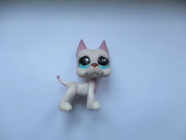 Littlest PETSHOP  dog argentin #1022 great dane LPS