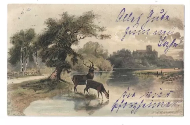 AK, Neujahr, 1904, Landschaft, Hirsch, Reh, von Karlsruhe nach Dörzbach