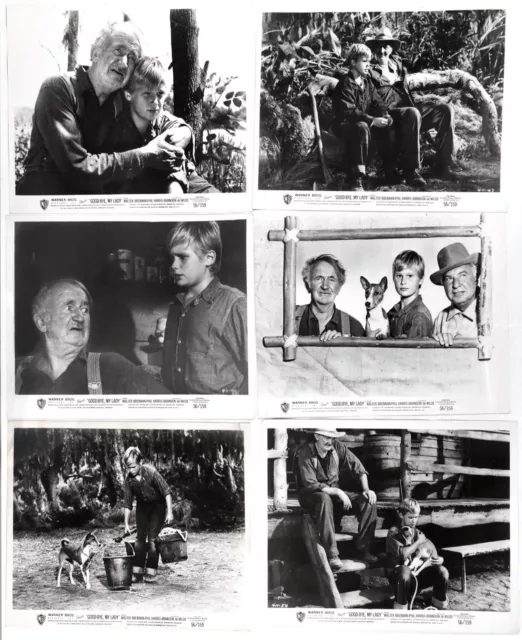 GOODBYE, MY LADY '56 - BRANDON de WILDE, WALTER BRENNAN- 6 ORIGINAL 8X10 PHOTOS