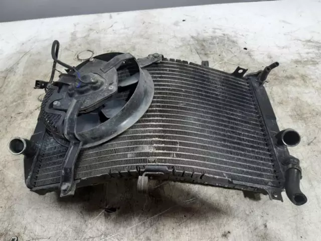 Radiator & Fan Suzuki Gsxr 600 K1 2001 32K Miles - 11981408