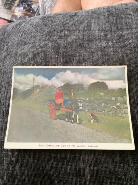 Irish Donkey And Cart On The Western Seaboard, Ireland Postcard