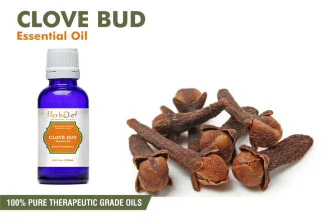 Clove Bud Essential Oil 100% Pure & Natural Aromatherapy Oils Therapeutic Grade