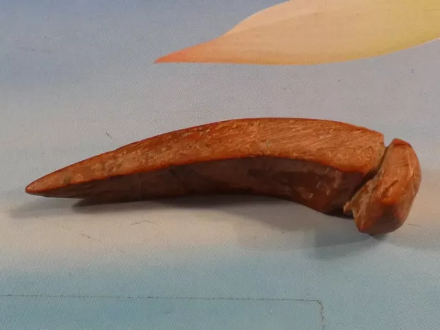 Neolithic Middle East Western Asia Sculpted Fang Red Stone Bead 46.6-10.6-9.1 Mm
