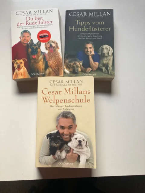 Cesar Millan Welpenschule Tipps vom Hundeflüsterer Du bist der Rudelführer