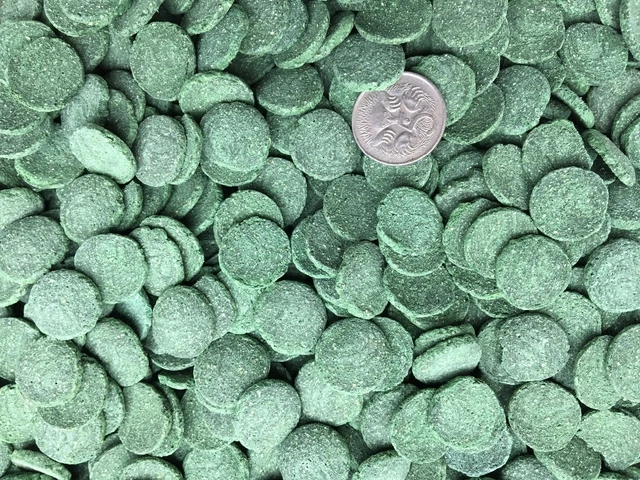 100g Algae wafers - Spirulina discs10mm - Bottom Feeders fish food