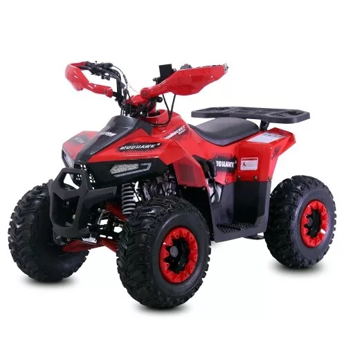 Quad Atv Quad per Bambini Miniquad 110cc Mudhawk 1G7 Pocketbike Pocketquad