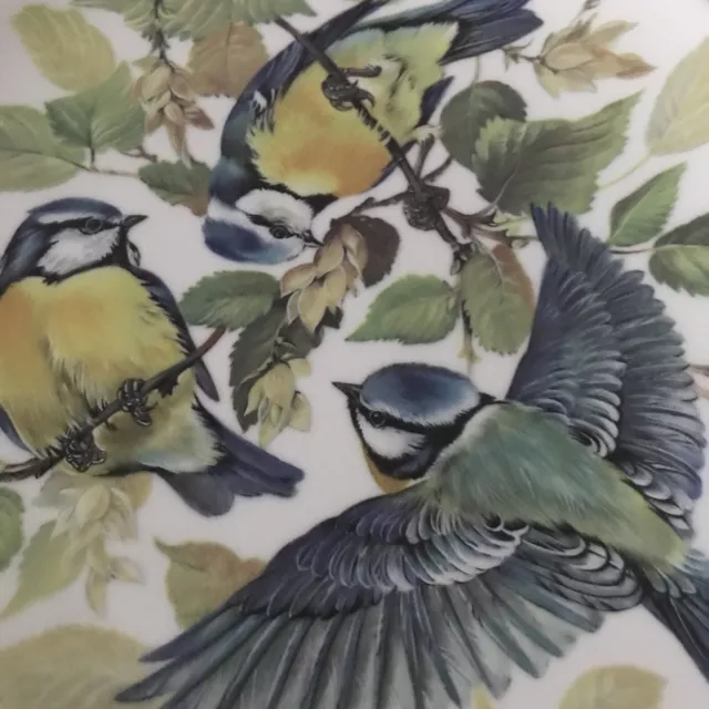 WWF Blue Tit Bird Collectors Plate By Ursula Band Songbirds Of Europe 1985 2