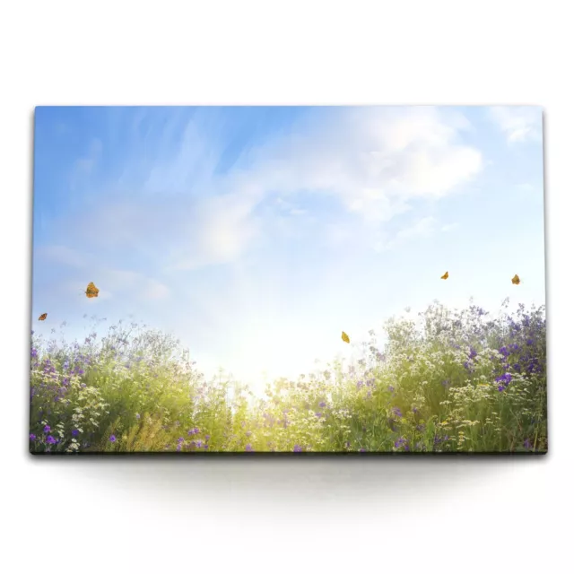 120x80cm Wandbild auf Leinwand Sommerwiese Blumen Gewächs Schmetterlinge Sonnens