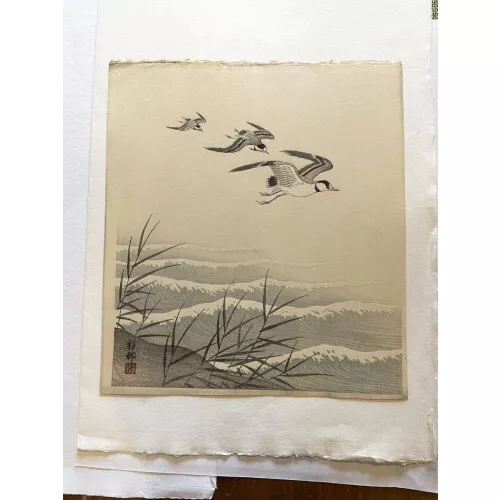 Immediate decision! Genuine woodblock print by Shoson Ohara (Koson)/Nami Chidori