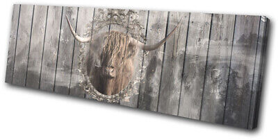 Shabby Chic Highland Cow Animals SINGLE CANVAS WALL ART Picture Print