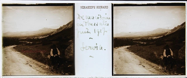 Greece Macedonia Stereo Verascope 1 25/32x4 7/32in Plate Glass Plus, Ca 1916