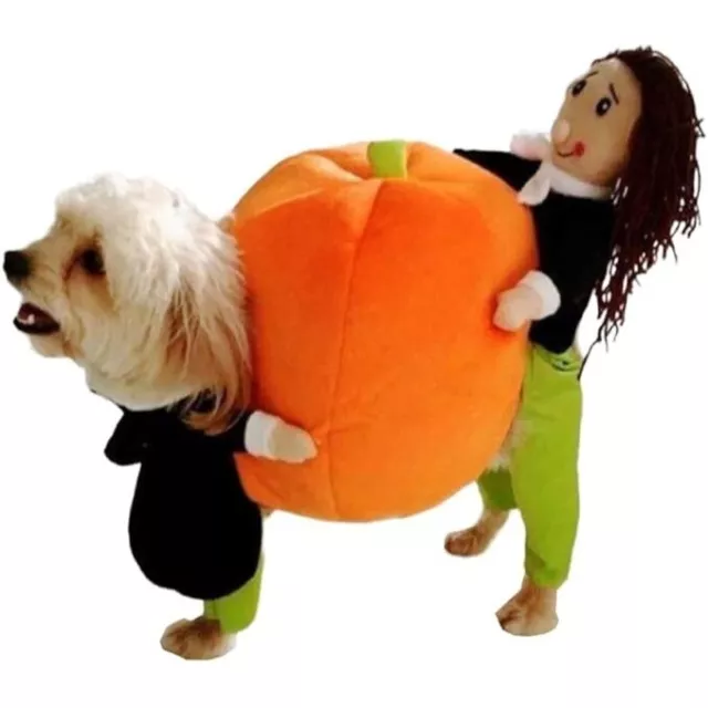 Halloween dog costume funny. makes it look like the pet is carrying a pumpkin