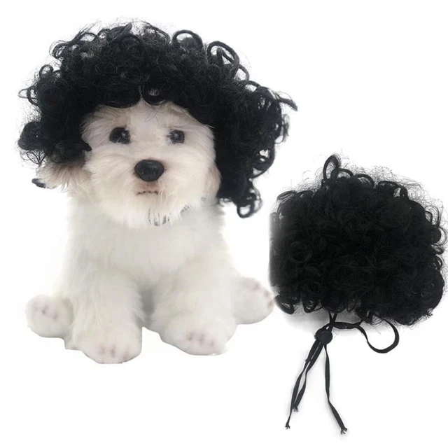 Photography Dog Cat Cross-Dressing Hair Cosplay Props Prank Pet Supplies  Gift