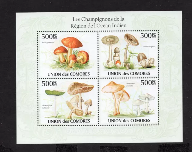 Comoros 2009 mini sheet of stamps Mi#2667-2670 MNH CV=10.8$