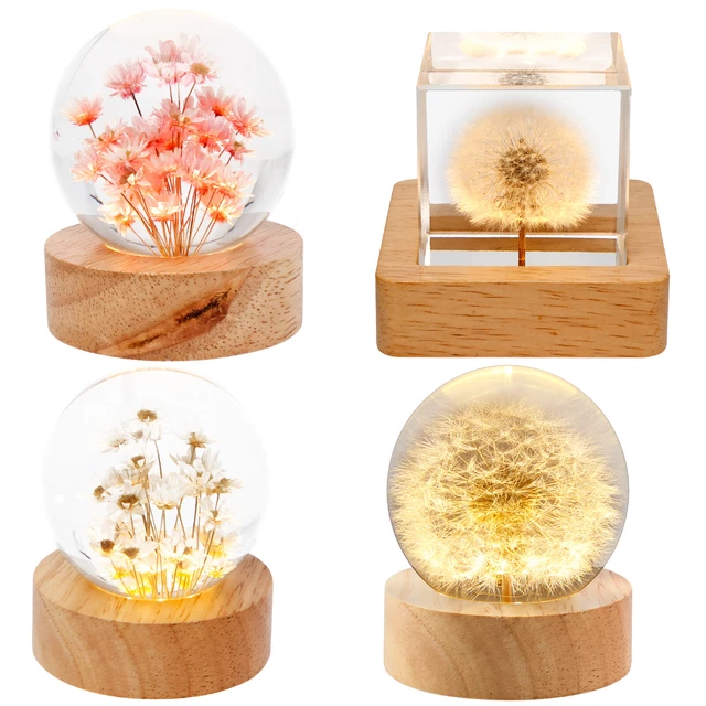 DANDELION CRYSTAL BALL Night Light USB Powered Fancy Crystal LED Night ...