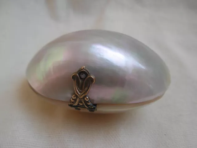 ANTIQUE FRENCH COIN PURSE,SHELL,LATE 19th OR EARLY 20th CENTURY.