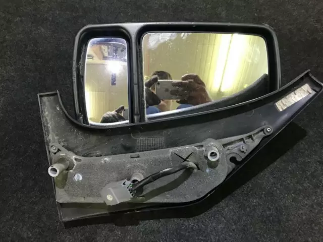 Exterior Door mirror (wing mirror) left side Renault Master 1999 FR243797-33